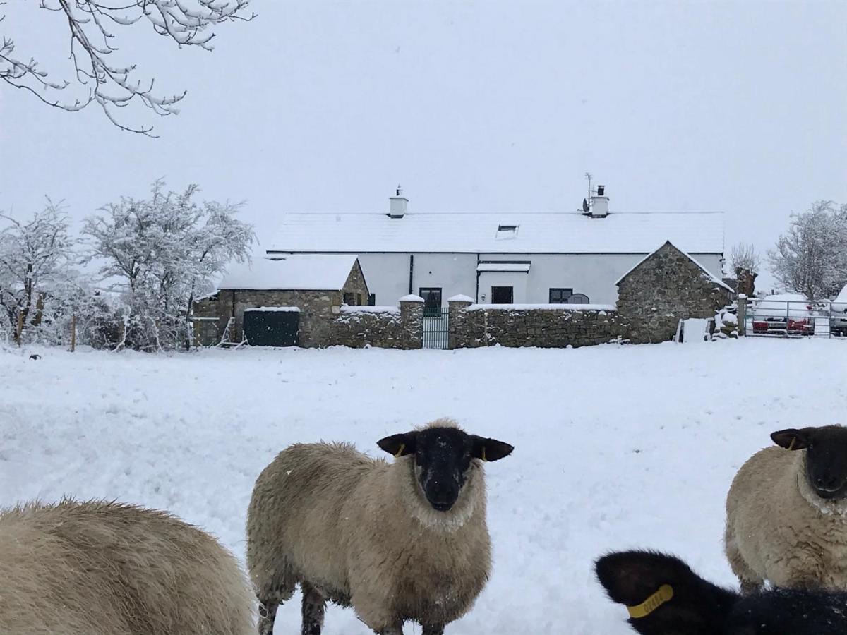 Mournes Family Cottage With Hot Tub Hilltown Esterno foto