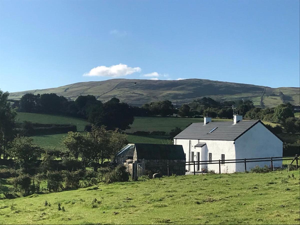 Mournes Family Cottage With Hot Tub Hilltown Esterno foto